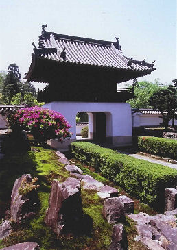 琴坂（興聖寺）の画像1
