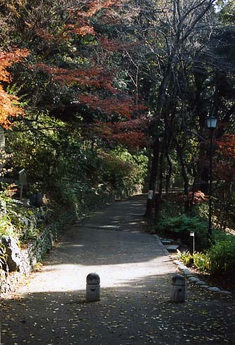大吉山（仏徳山）の画像2