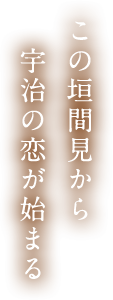 この垣間見から 宇治の恋が始まる