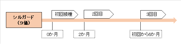 シルガード9