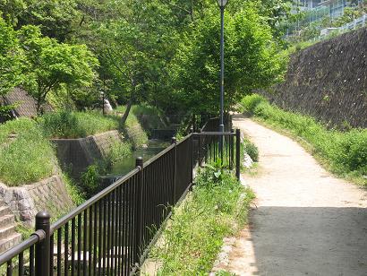 名木川遊歩道の画像1