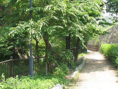 名木川遊歩道の画像2