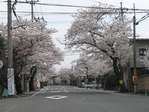 城南荘本通りの画像2