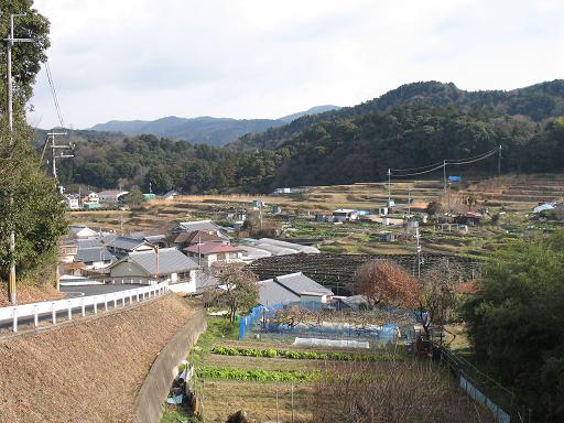 白川の集落と茶畑の画像2