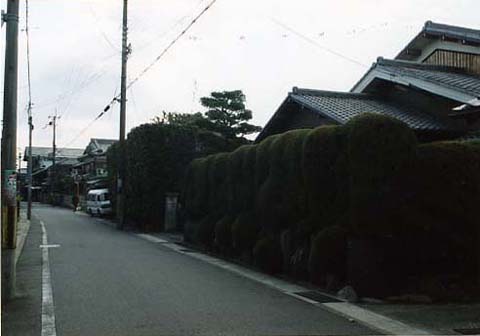 巨椋神社と大和街道の画像2