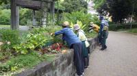 芝生広場花壇のお手入れ