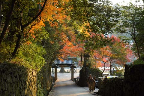 琴坂（興聖寺）の画像3