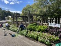 夏の植物公園前花壇