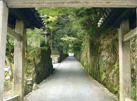 琴坂（興聖寺）の画像4