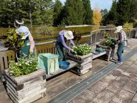 植物公園入り口前ベンチの手入れ