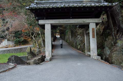 琴坂（興聖寺）の画像5