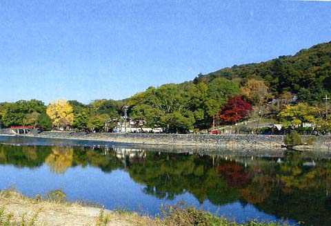 琴坂（興聖寺）の画像6