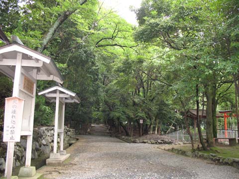 神明皇大神宮（神明神社）の杜の画像1