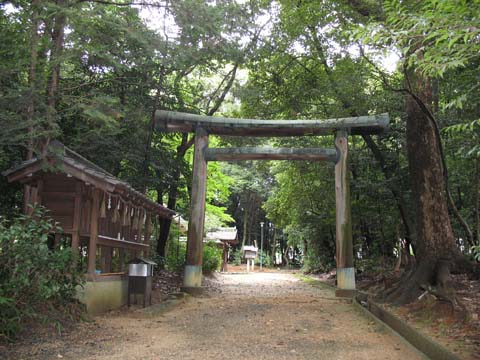 神明皇大神宮（神明神社）の杜の画像2