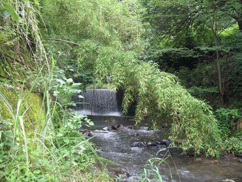 志津川の画像1