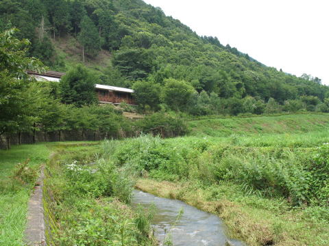 笠取川の画像1