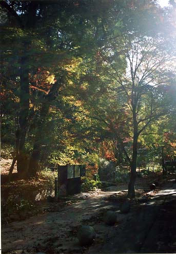 大吉山（仏徳山）の画像3