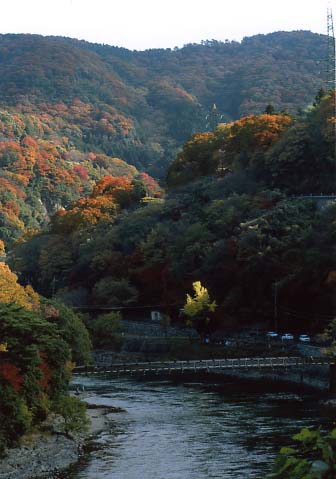 宇治川天ケ瀬の画像2