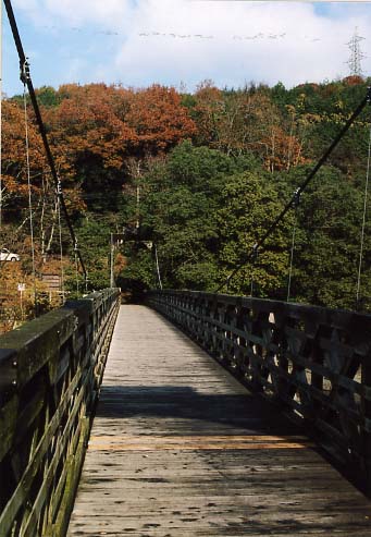 宇治川天ケ瀬の画像4