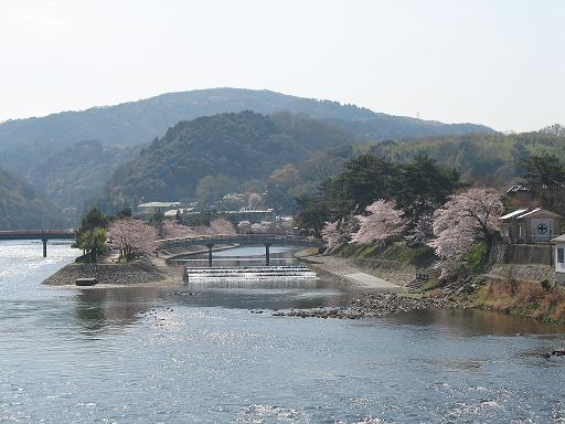 宇治橋から見た上流の画像6