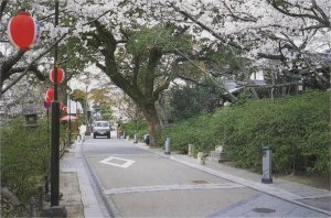 あさぎり緑地（あさぎりりょくち）の画像