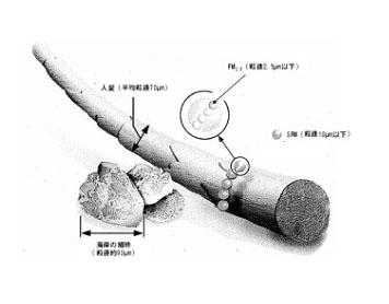 微小粒子状物質（PM 2.5）とはの画像1