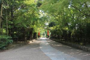 さわらびの道（宇治上神社）