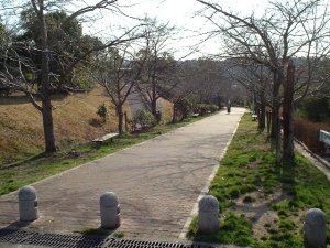 東山公園（ひがしやまこうえん）の画像