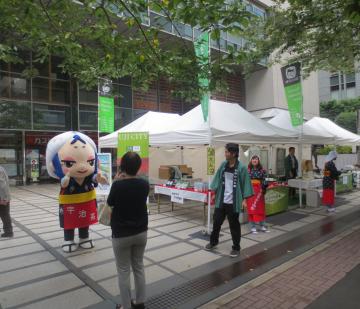 宇治茶おもてなし市 in 東京日本橋の画像