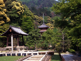 三室戸寺の画像