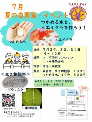 イベントチラシ