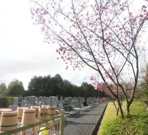 宇治市天ケ瀬墓地公園の画像