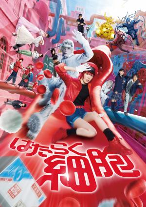 映画「はたらく細胞」の画像